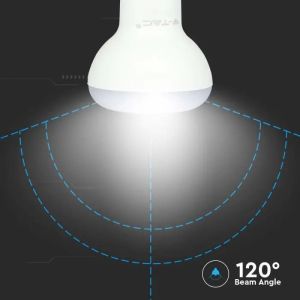 LED Bulb - SAMSUNG CHIP 4.8W E14 R50 Plastic 6500K