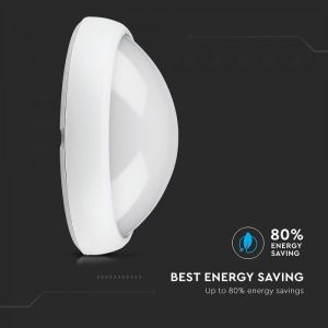 8W Dome Light Oval White Body 3000K IP66