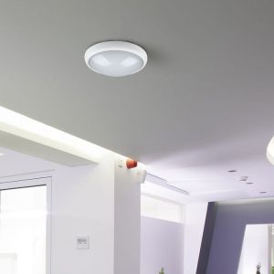 8W Dome Light Oval White Body 3000K IP66