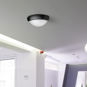 12W LED Full Oval Ceiling Lamp Black Body IP54 6000K