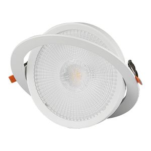 LED Downlight - SAMSUNG CHIP 20W Movable 6400K