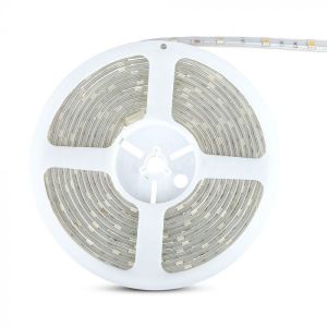 LED Strip SMD5050 - 30 LEDs 6400K IP65