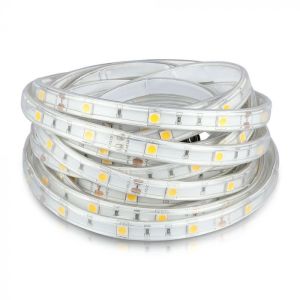 LED Strip SMD5050 - 30 LEDs 6400K IP65