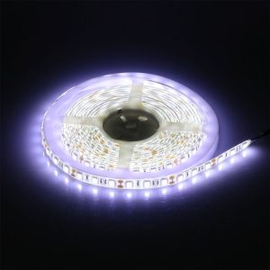 LED Strip SMD5050 - 60 LEDs 6400K IP65