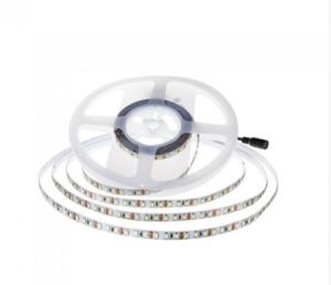 LED Stip SMD2835 - 120 LEDs 24V IP20 6400K Double PCB 10M Roll