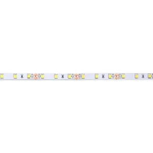 LED Strip 4040 60 Led 12V 4000K IP20