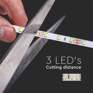 LED Strip 4040 60 Led 12V 6400K IP20