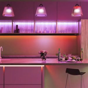 LED Strip SMD5050 - 60 LEDs Red IP20