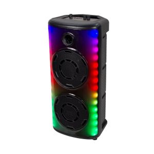 600W Rechargeable Speaker With 1 Wired Microphone RF Control and Handle 2x8 inch