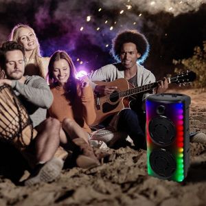 600W Rechargeable Speaker With 1 Wired Microphone RF Control and Handle 2x8 inch