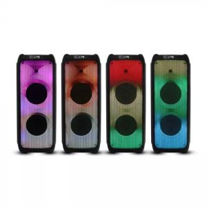 100W Rechargeable Trolley Speaker With One Wired Microphone RF Control RGB 2*10 inch