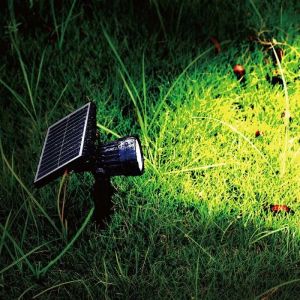 2W LED Solar Spike IP65 3000K